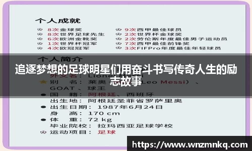 3003新葡的京集团