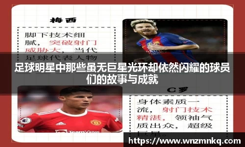 3003新葡的京集团